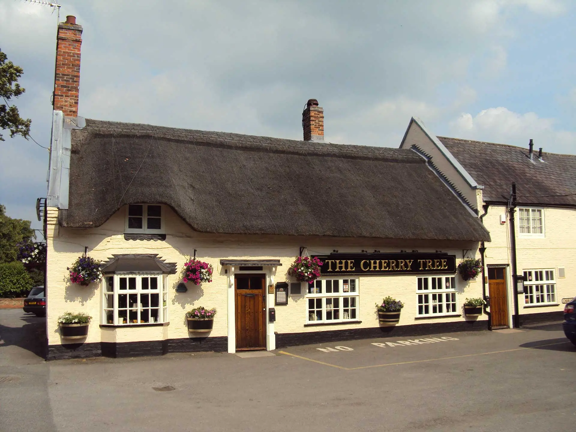 The Cherry Tree